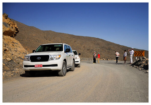 Mountain Safari Trekking Adventure - Full Day