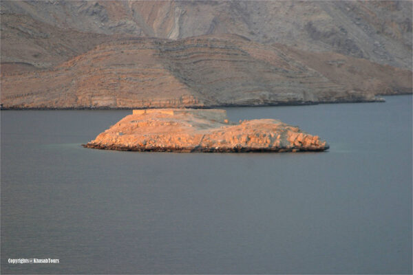 Dhow Cruise – Half Day