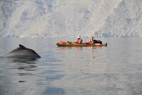 Kayaking Adventure
