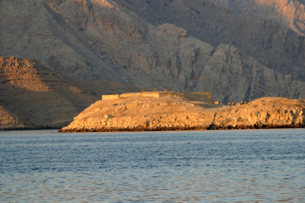 Dhow Cruise – Full Day