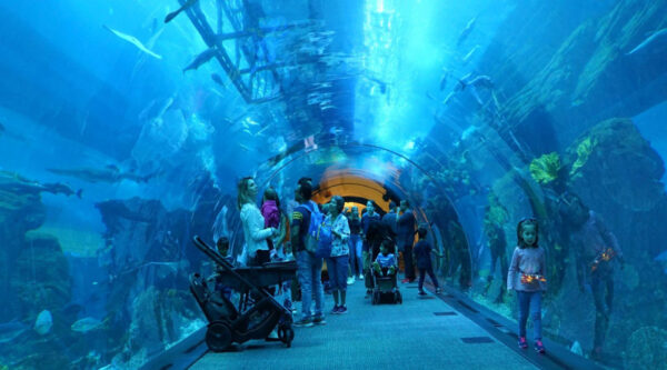 Dubai Aquarium & Underwater Zoo