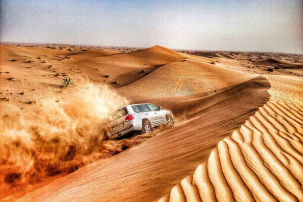 Evening Desert Safari