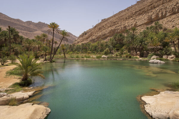 Coast & Wadi Shab