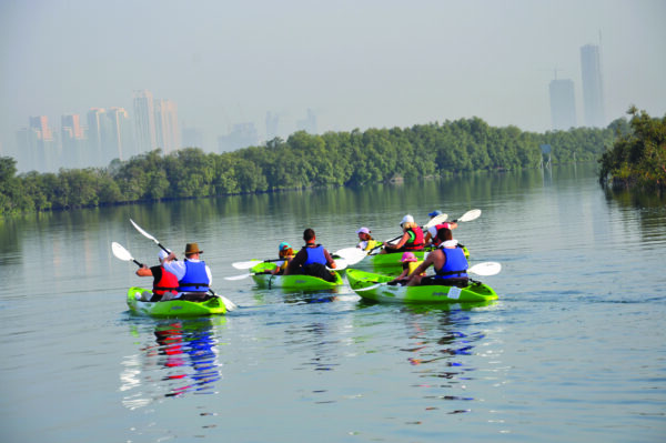 Mangrove Kayaking Abu Dhabi