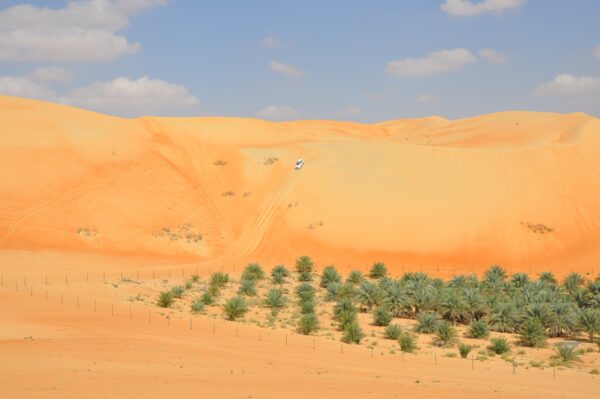 Liwa Oasis Desert Safari Abu Dhabi