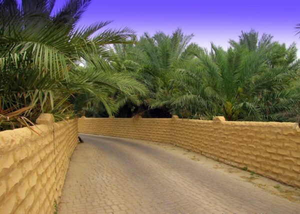 Al Ain City Tour