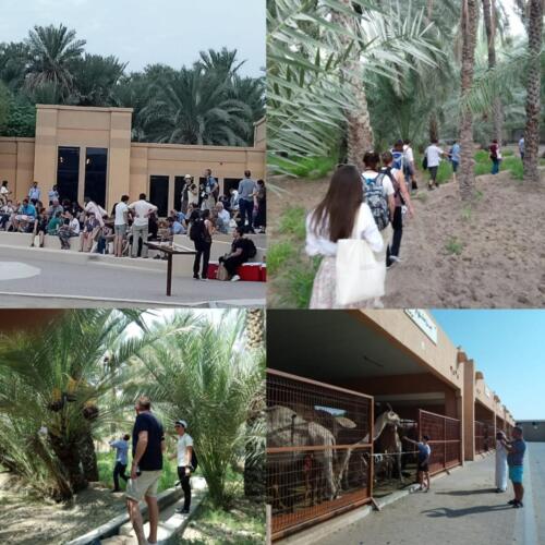 AL-AIN-TOUR