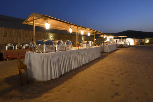Buffet-setup-Camp