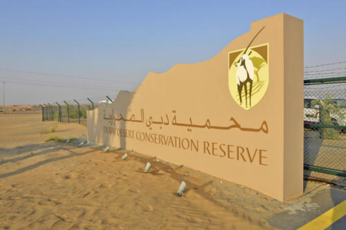 DDCR-main-entrance