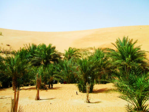 DSCF1654
