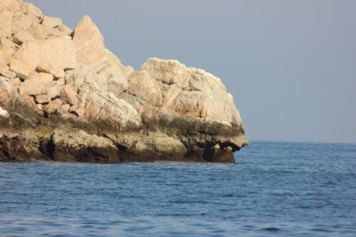 IMG 0989 (1)
