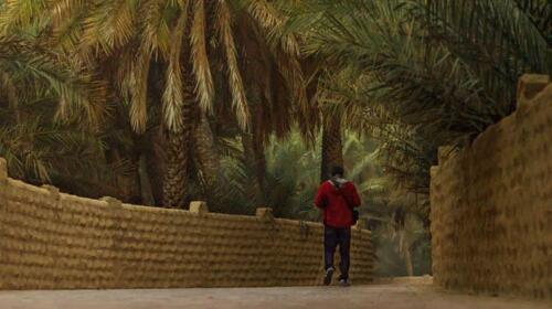 al-ain-oasis