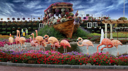attractive-miracle-garden