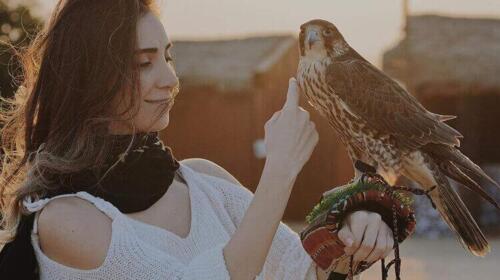 evening-desert-safari-abu-dhabi-2