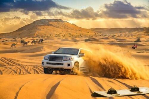 hidx54zkrrlfif98ydelzwyvgakq Dune-bashing (1) (1)