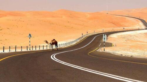 liwa-desert-safari-3