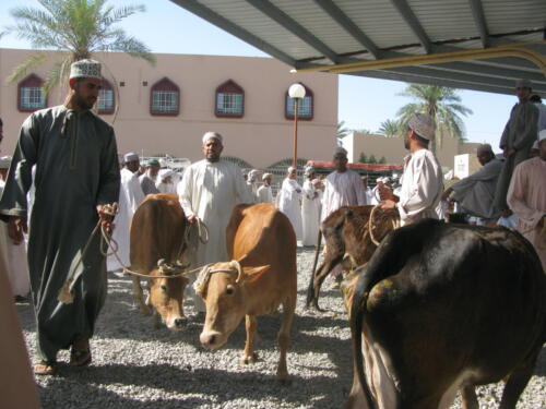 nizwa-1 (1)